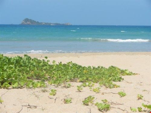  Trincomalee sabrina sabrina